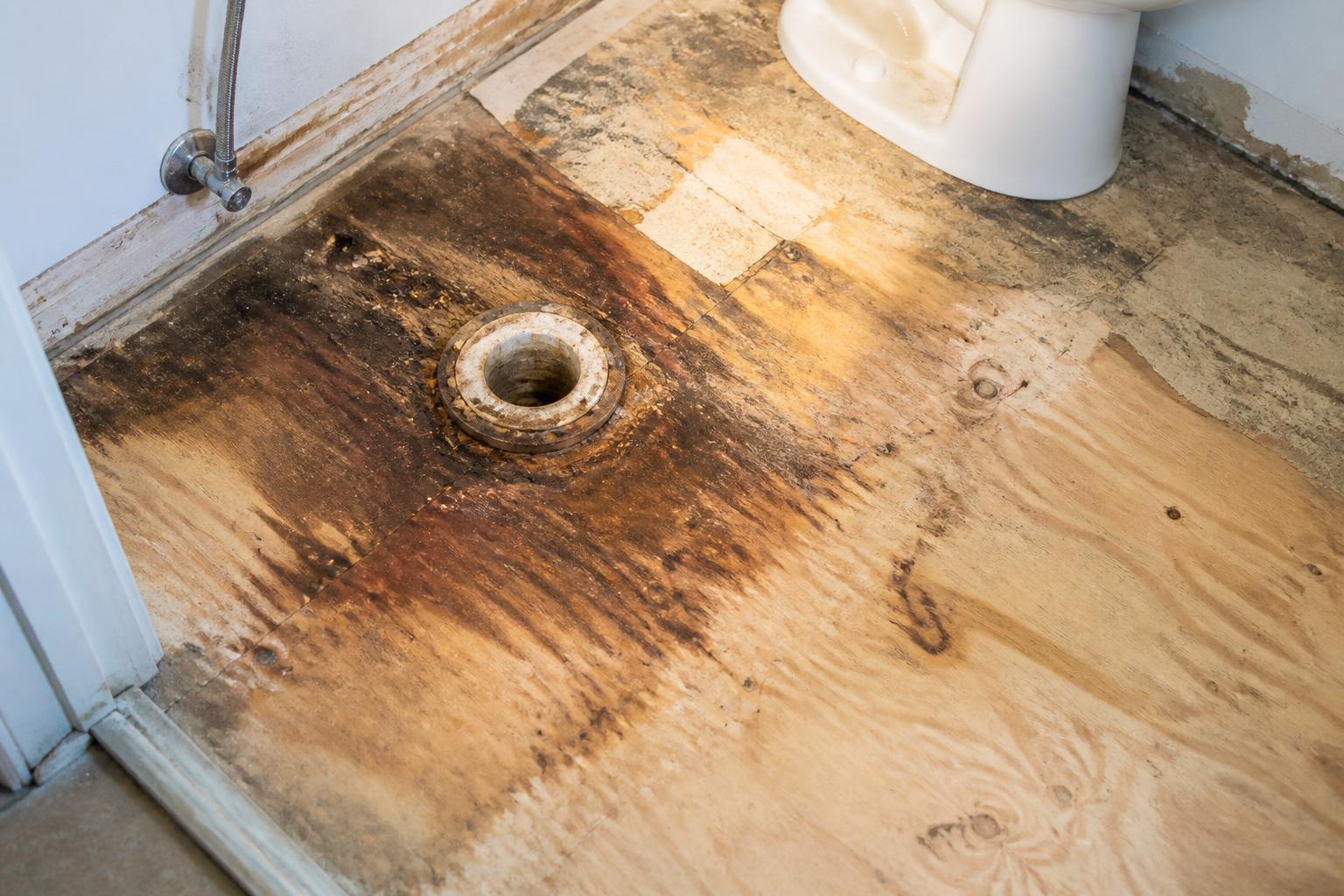 Signs You Need Bathroom Subfloor Repair Before Retiling